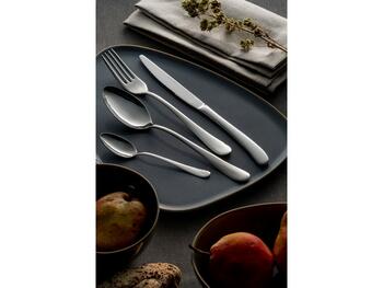 SET POSATE CHARME COFANETTO 24 PEZZI EME POSATERIE S.R.L.