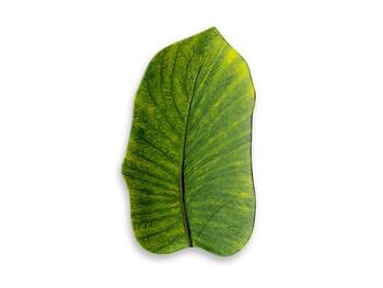 YORK VASSOIO FOGLIA MEDIO ZANI SERAFINO S.R.L.