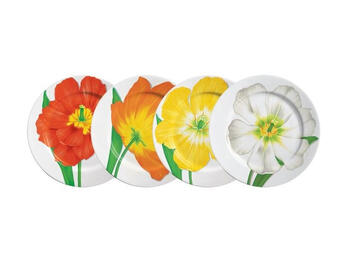 FREEDOM PIATTO PIANO SET 4 ASSORTITI TAITU  S.R.L.