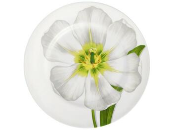 FREEDOM PIATTO PIANO SET 4 ASSORTITI TAITU  S.R.L.