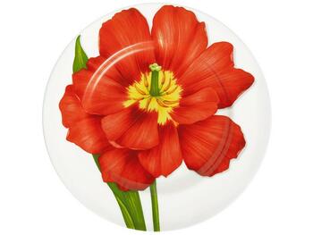 FREEDOM PIATTO PIANO SET 4 ASSORTITI TAITU  S.R.L.