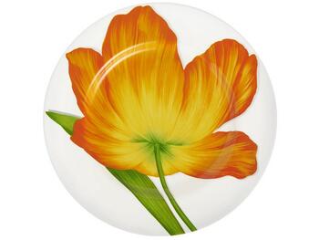 FREEDOM PIATTO PIANO SET 4 ASSORTITI TAITU  S.R.L.