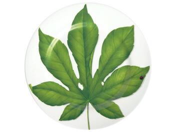 FREEDOM PIATTO PORTATA ROTONDO/ SEGNAPOSTO SET 4 ASSORTITI TAITU  S.R.L.