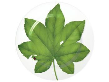 FREEDOM PIATTO PORTATA ROTONDO/ SEGNAPOSTO SET 4 ASSORTITI TAITU  S.R.L.