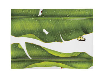 FREEDOM PIATTO PORTATA RETTANGOLARE TAITU  S.R.L.