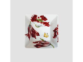 EMOTION CIOTOLA MEDIA QUADRATA TAITU  S.R.L.