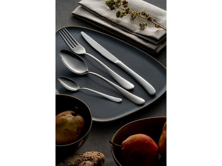 SET POSATE CHARME COFANETTO 24 PEZZI EME POSATERIE S.R.L.