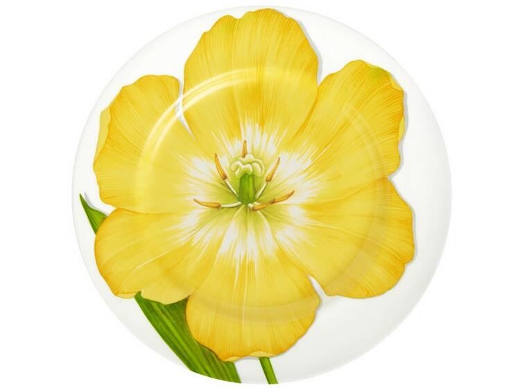 FREEDOM PIATTO PIANO SET 4 ASSORTITI TAITU  S.R.L.