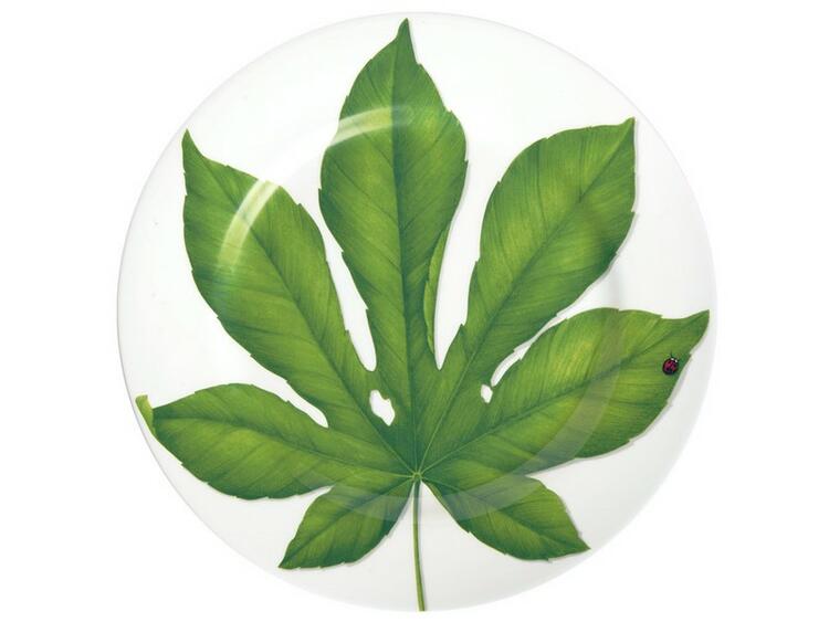 FREEDOM PIATTO PORTATA ROTONDO/ SEGNAPOSTO SET 4 ASSORTITI TAITU  S.R.L.