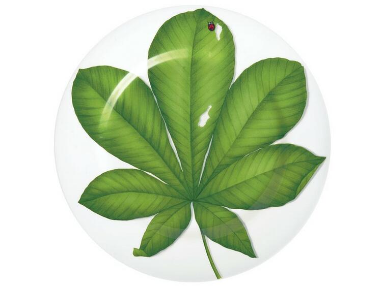 FREEDOM PIATTO PORTATA ROTONDO/ SEGNAPOSTO SET 4 ASSORTITI TAITU  S.R.L.