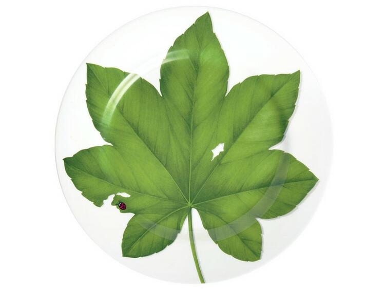 FREEDOM PIATTO PORTATA ROTONDO/ SEGNAPOSTO SET 4 ASSORTITI TAITU  S.R.L.