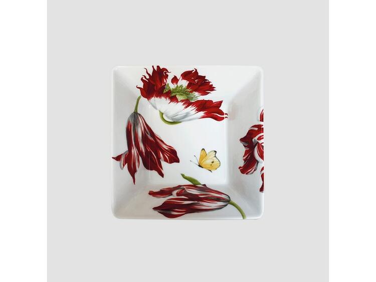 EMOTION CIOTOLA MEDIA QUADRATA TAITU  S.R.L.