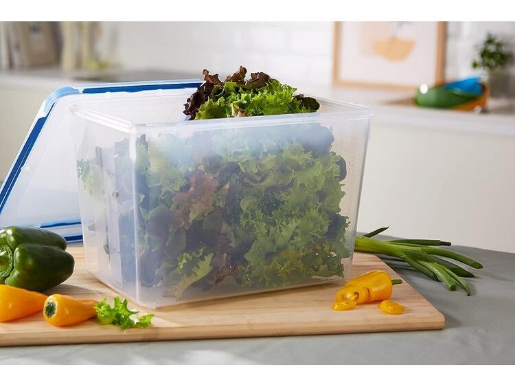 CLIPECLOSE CONTENITORE PER ALIMENTI 10 LAGOSTINA EMSA